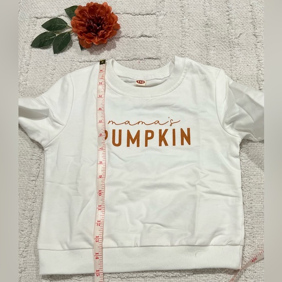 Mama’s Pumpkin Toddler Sweater Pullover- Size 100 (4T/5T) - Picture 3 of 4